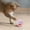 Pink, variant on Oversized Self-Activating Sound Egg-Shaped Cat Toy with Squeaky Crinkle Textures - Interactive Entertaining Plaything for Feline Companions Material