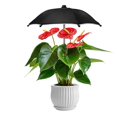 thumbnail image 4 of SDFGTstore Essential Plant Care Umbrellas Providing Sun and Rain Protecting for Growth, 4 of 15