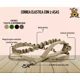 thumbnail image 5 of Correa Táctica Elástica, Con 2 Asas Entrenamiento P/perros, 5 of 5