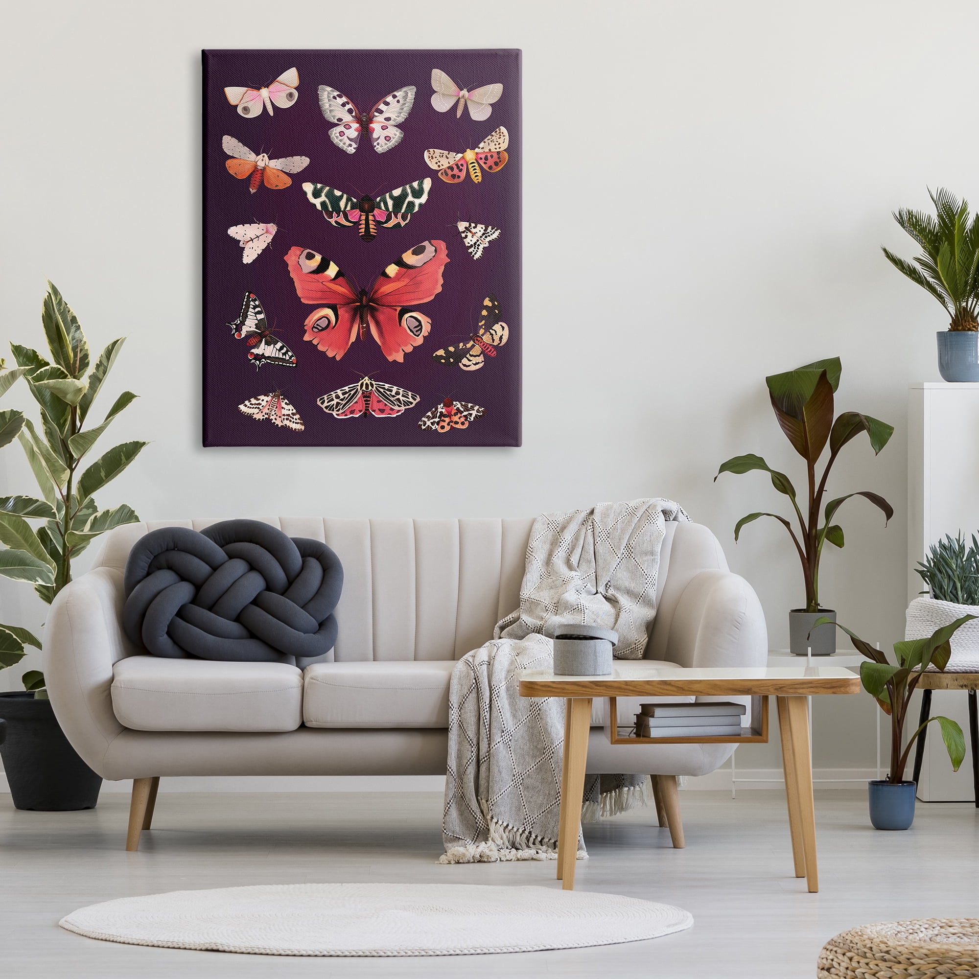 Stupell Industries Vintage Wildlife Moths Animals & Insects Painting Gallery Wrapped Canvas Print Wall Art, 36 x 48