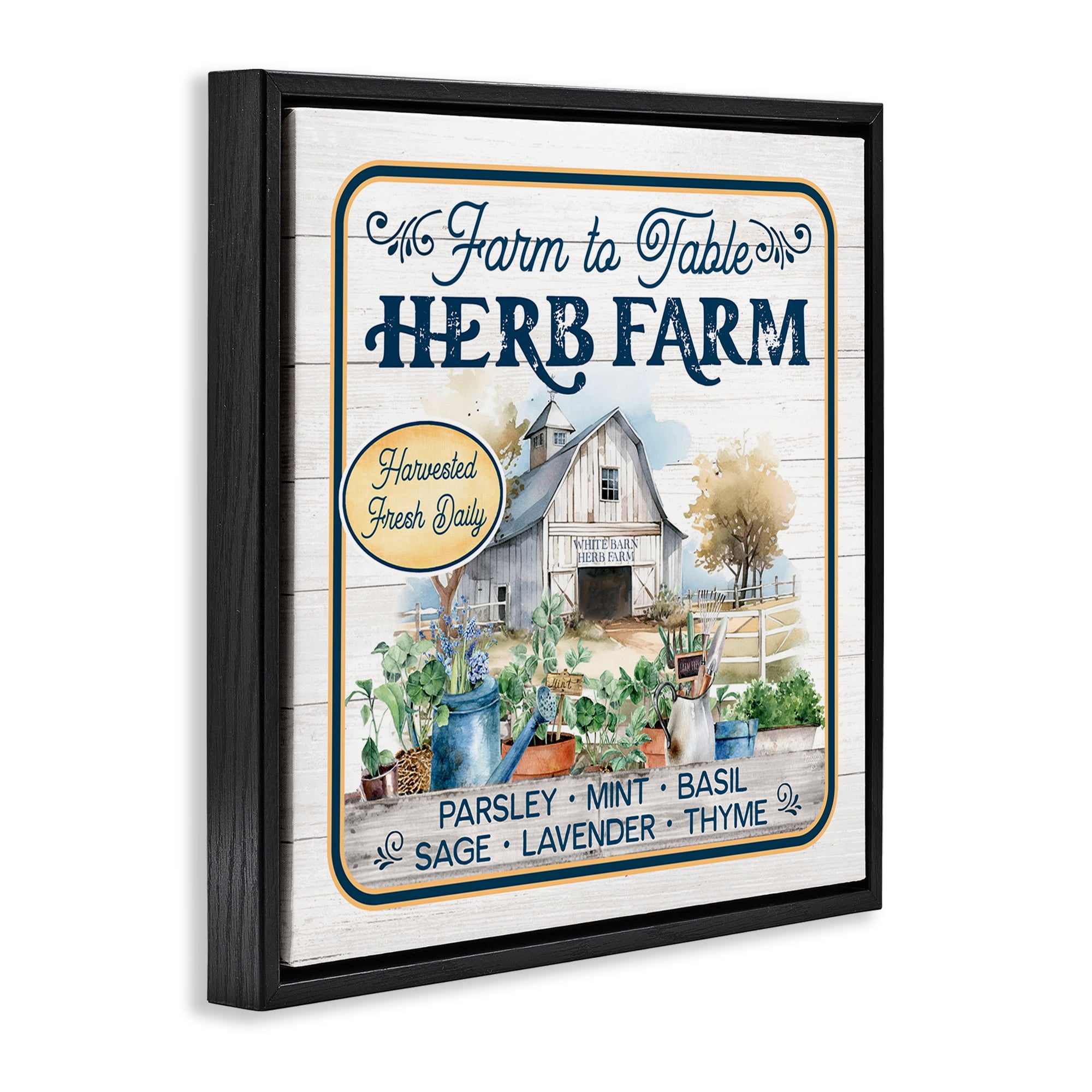 Stupell Industries Fresh Daily Herb Farm Text & Numbers Painting Black Floater Framed Canvas Art Print Wall Art, 25 x 25