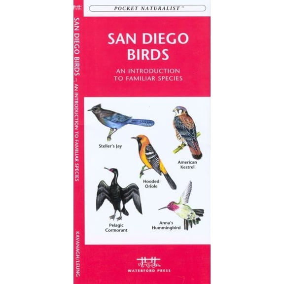 Pocket Naturalist Guides: San Francisco Birds: An Introduction to Familiar Species (Other)