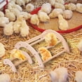 thumbnail image 4 of Percha para pollo de madera apilable: 4 Uds., barra para posar pollos, percha para pollitos para patio trasero, 4 of 8