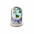 thumbnail image 1 of Bearachild Caja de regalo rosa con cubierta de vidrio Regalo de luz LED para el aniversario del día de San Valentín Kits de decoración para fiestas azul Bearachild HA027363-02, 1 of 1