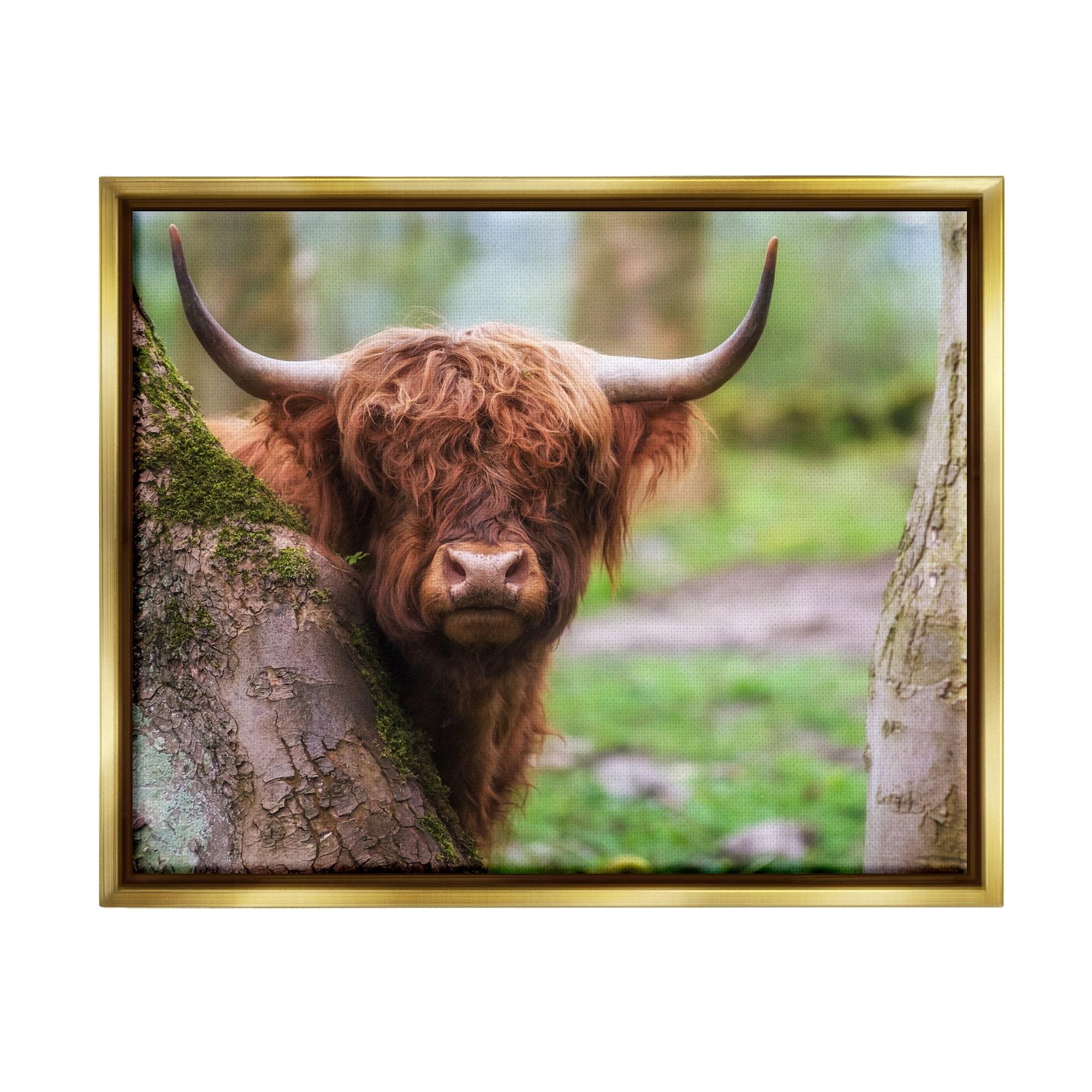 Stupell Industries Highland Cattle Peering Between Trees Lush Nature Scene Photograph Metallic Gold Floating Framed Canvas Print Wall Art, Design by James Dobson