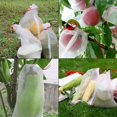 thumbnail image 2 of 50 Pcs Fruit Covers Bags Reusable with Drawstring Non-Toxic Vegetable Protection Agricultural Nylon Mesh Insect Proof Garden Netting Bags Fruit (30*20cm/11.79*7.86inch), 2 of 7