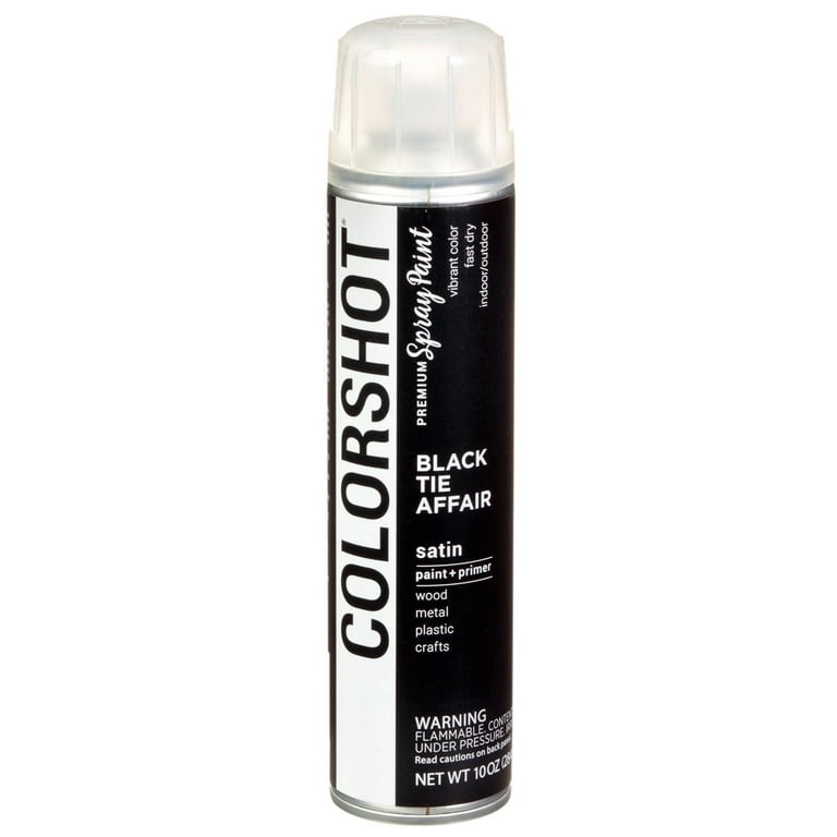 Colorshot Aerosol Spray Paint 10oz Black Tie Affair - Black - Satin