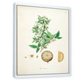 thumbnail image 3 of Designart 'Ancient Plant Life X' Farmhouse Framed Canvas Wall Art Print, 3 of 5