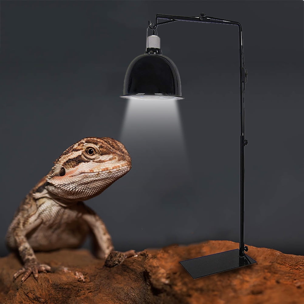 tortoise lamp stand