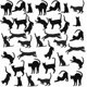 thumbnail image 3 of Black Cat Wall Stickers for Kids Cat Wall Decals Bedroom Cat Vinyl Sticker Wall Art Stickers 36PCSby Baryuefull, 3 of 4