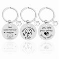 thumbnail image 3 of Stainless Steel Engraved Dog Tag Keychain For Dog Lovers and Lost Pet Owners Titanium Steel Pet Engraved Keychain, 3 of 6