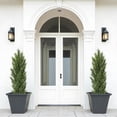thumbnail image 5 of Poetree 2 Pack Artificial Tree 5 FT Artificial Cedar Topiary Trees for Outdoors Potted Fake Pine Trees Faux Evergreen Plants for Home Porch Decor, 5 of 13
