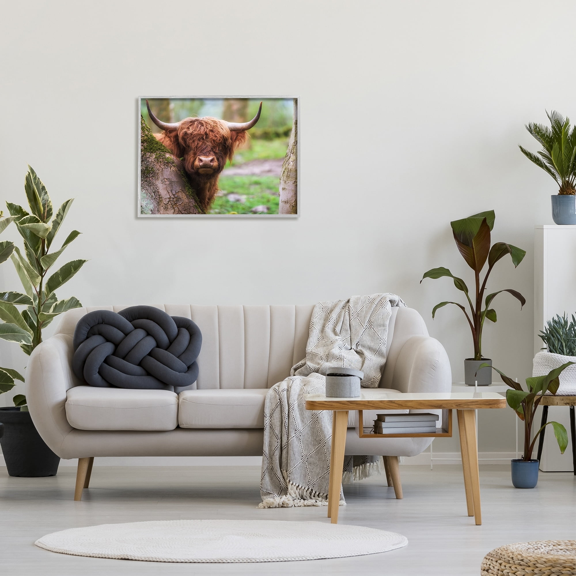 Stupell Industries Highland Cattle Peering Between Trees Lush Nature Scene Photograph Gray Framed Art Print Wall Art, Design by James Dobson