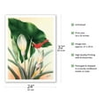 thumbnail image 2 of Red Cardinal and White Calla Lily Flowers - Vintage Hawaiian Airbrush Art by Frank Oda (Hale Pua Studio) c.1940s - Bamboo Fine Art 290gsm Paper Print (Unframed) 24x32in, 2 of 4
