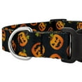 thumbnail image 5 of Country Brook Petz® Deluxe Happy Jack Dog Collar - Made in The U.S.A., Large, 5 of 5