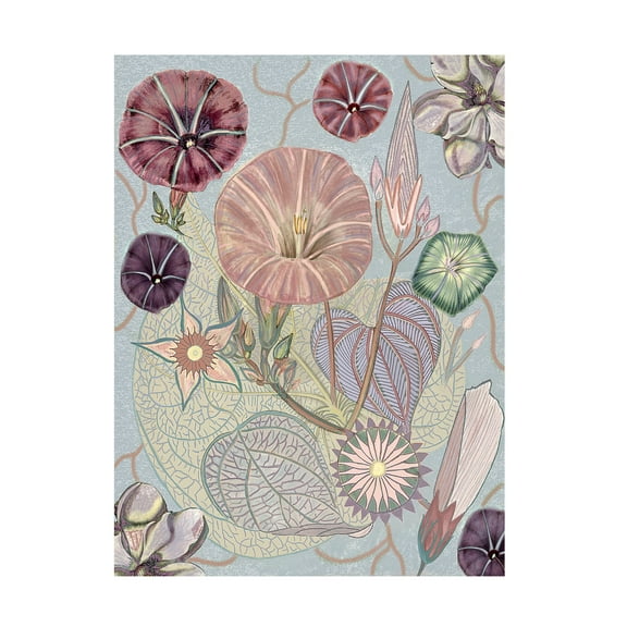 Trademark Fine Art giovanna nicolo Vintage Wildflowers Canvas Wall Art