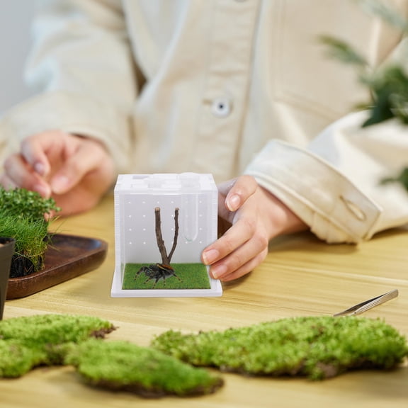 ELAYARD Acrylic Spider Habitat Container with Ventilation, Insect Terrarium for Spiders and Small Pets, 1 Piece