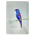 thumbnail image 1 of Betsy Drake GT825 Serviette d'Invité 20 x 20 Po. Blue Grosbeak, 1 of 1