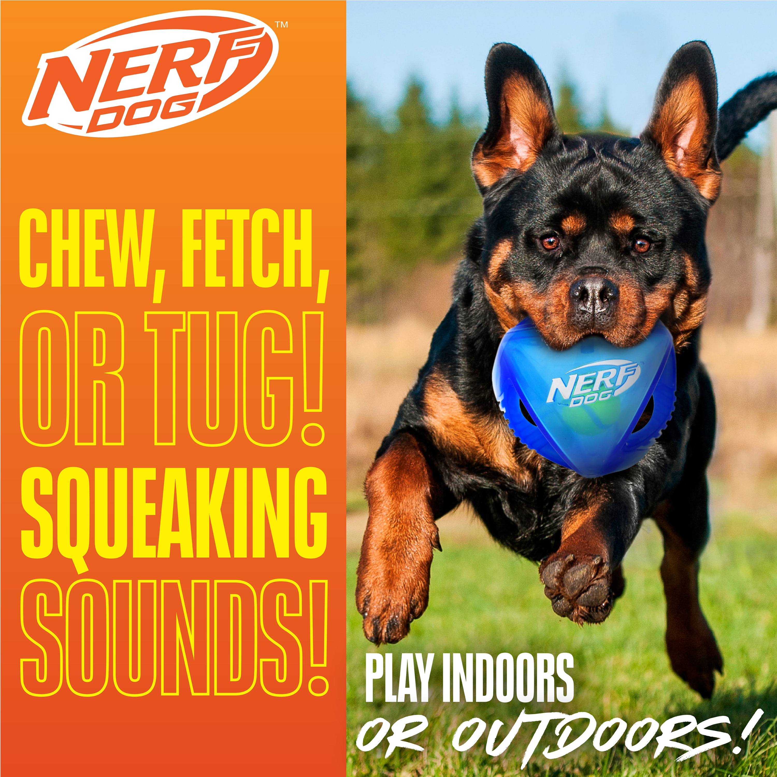 Nerf Dog Rubber Rumble Ball Squeak Fetch Dog Toy, Blue, 5.5 inch
