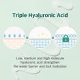thumbnail image 2 of Crema hidratante ROUND LAB Pine Calming Cica Cream 50 ml con ácido hialurónico, 2 of 5