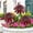 Red, variant on Red Metal Flower Garden Stake, Weather-Resistant Metal Art Sculpture for Courtyard Lawn Patio Entryway, Rust-Proof Outdoor Ornament, Mother’s Day Birthday Gift for Mom
