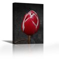 thumbnail image 1 of Tulip Letter III - Contemporary Fine Art Giclee on Canvas Gallery Wrap - wall décor - Art painting - 18 x 27 Inch - Ready to Hang, 1 of 2