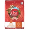 Purina ONE Plus Healthy Weight High-Protein Dog Food Dry Formula