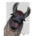 thumbnail image 2 of Fab Funky 26x32 Black Ornate Wood Framed with Double Matting Museum Art Print Titled - Silly Llama, 2 of 4
