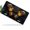 Black and Gold Butterfly, variant on American Eagle and Flag Front License Plate, Metal License Plate, Funny Standard Plates Personalized Novelty Decorative For Men/Women/Boys/Girls Car 6×12 Inch