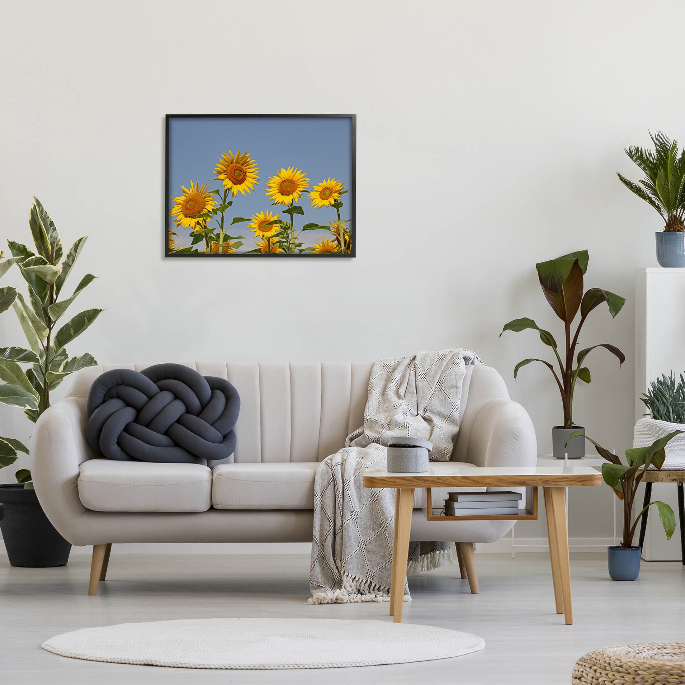 Sunflower Field Clear Sky Botanical & Floral Photograph Black Framed Art Print Wall Art