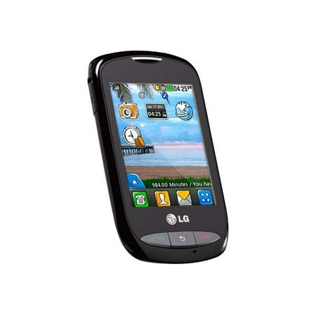 LG 800G - Bonus Pack - feature phone - microSD slot - LCD display - 240 x 320 pixels - rear camera 2 MP - NET10 - black