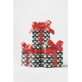 thumbnail image 3 of The Holiday Lab, 3 of 4