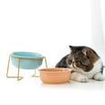 thumbnail image 5 of Anti Vomiting Easy Cleaning Neck Protect with Bracket Ceramic Material Slope Design Cat Feeding Bowl Dog Drinking Dish Pet Accessories Cat Bowl ORANGE L WITH BRACKET, 5 of 8