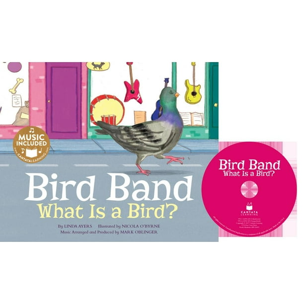 Animal World: Animal Kingdom Boogie: Bird Band: What Is a Bird? (Other) -  