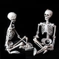 thumbnail image 3 of 40cm Poseable Full Life Size Human Skeleton Halloween Decoration Party Prop, 3 of 5