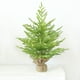 thumbnail image 1 of Árbol de Navidad de Escritorio de 24 Pulgadas con Simulación de Pe, Decoración Flocada con Luz, Decoración Interior, Adornos de Regalo Navideños, 1 of 6
