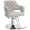 Gray, variant on UBesGoo Hydraulic Barber Chair, Adjustable Height, Swivel Styling Chair for Salon & Home, Black