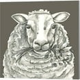 thumbnail image 4 of Great Art Now Cow, Goat & Sheep by Kelsey Wilson 3 Piece Canvas Art Set Each 14W x 14H, 4 of 4