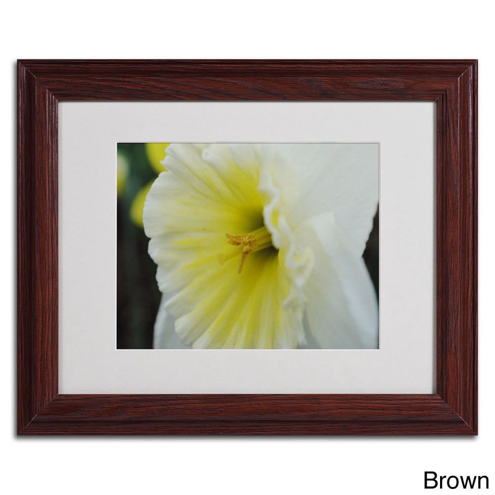 Trademark Fine Art "Vitality" by Monica Fleet, Black Frame
