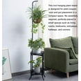 thumbnail image 2 of A house of tools 2-tier Hanging Plant Stand, Space-Saving Iron Planter Shelves Flower Pot Organizer Rack Multiple Flower Pot Display Holder Shelf Indoor Outdoor Heavy Duty Planter Shelving Unit, 2 of 6