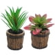 thumbnail image 1 of Plantas en macetas suculentas de simulación, barriles de madera, macetas de cemento, flores falsas, adornos creativos, plantas verdes artificiales, 2 uds., 1 of 5
