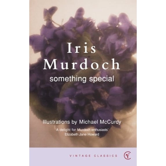 Pre-Owned Something Special (Paperback) 0099422654 9780099422655