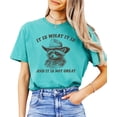 thumbnail image 3 of It Is What It Is and It Is Not Great Shirt for Women & Teens Funny Raccoon Tee Seafoam Shirt Adult Large, 3 of 5