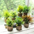 thumbnail image 3 of Fake Plant Plant Realistic: Wooden Pot Artificial Plant Desktop Plant Decoration, 3 of 3