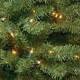 thumbnail image 4 of 10 ft. Artificial North Valley® Spruce Slim Christmas Tree, Green, Clear Lights, Includes Stand, 4 of 6