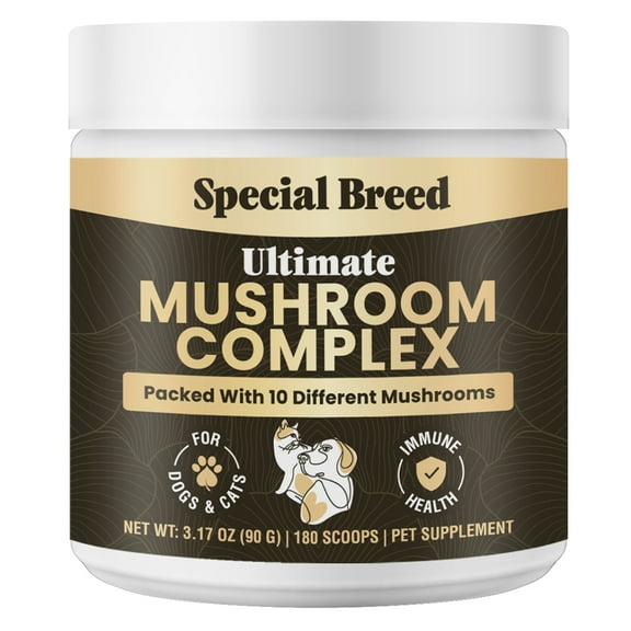 Mushroom Powder for Dogs & Cats - Organic Mushroom Complex for Immune Support, Cognition, Vitality - Ten Mushroom Supplement with Turkey Tail, Lion's Mane, Reishi - 90 Scoops