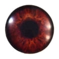 thumbnail image 2 of Dark Brown Human Glass Eyes, 2 of 7