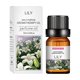 thumbnail image 3 of Xihbxyly Aceite de Aromaterapia de Sándalo, Fórmula para Aliviar La Tensión, Estimula La Circulación, Ayuda Respiratoria, Soluble En Agua, Múltiples Fragancias, Ayuda a La Relajación, Frasco de 10 Ml, 3 of 7