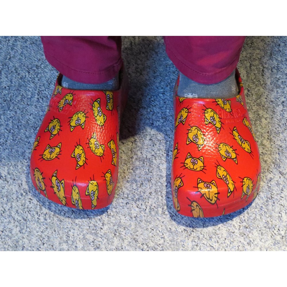 Peel-n-Stick Poster of Slippers Clog Dutch Slipper Shoe Red Shoes Cat