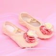 thumbnail image 4 of Siilsaa Ballet Shoes for Girls Large Flower Ballet Dance Shoes Elegant and Cute Ballet Slippers Soft Dance Shoes for Toddler Beige,8.5, 4 of 7